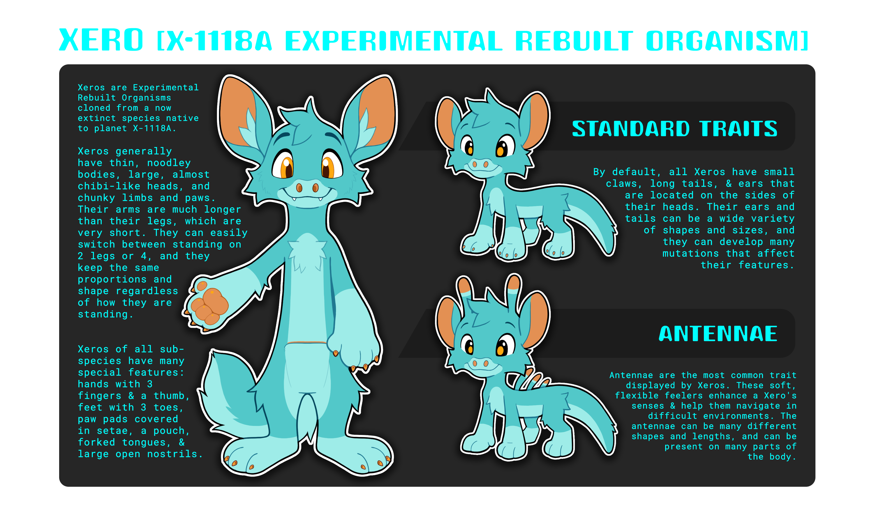 xero_subspecies_standard.png