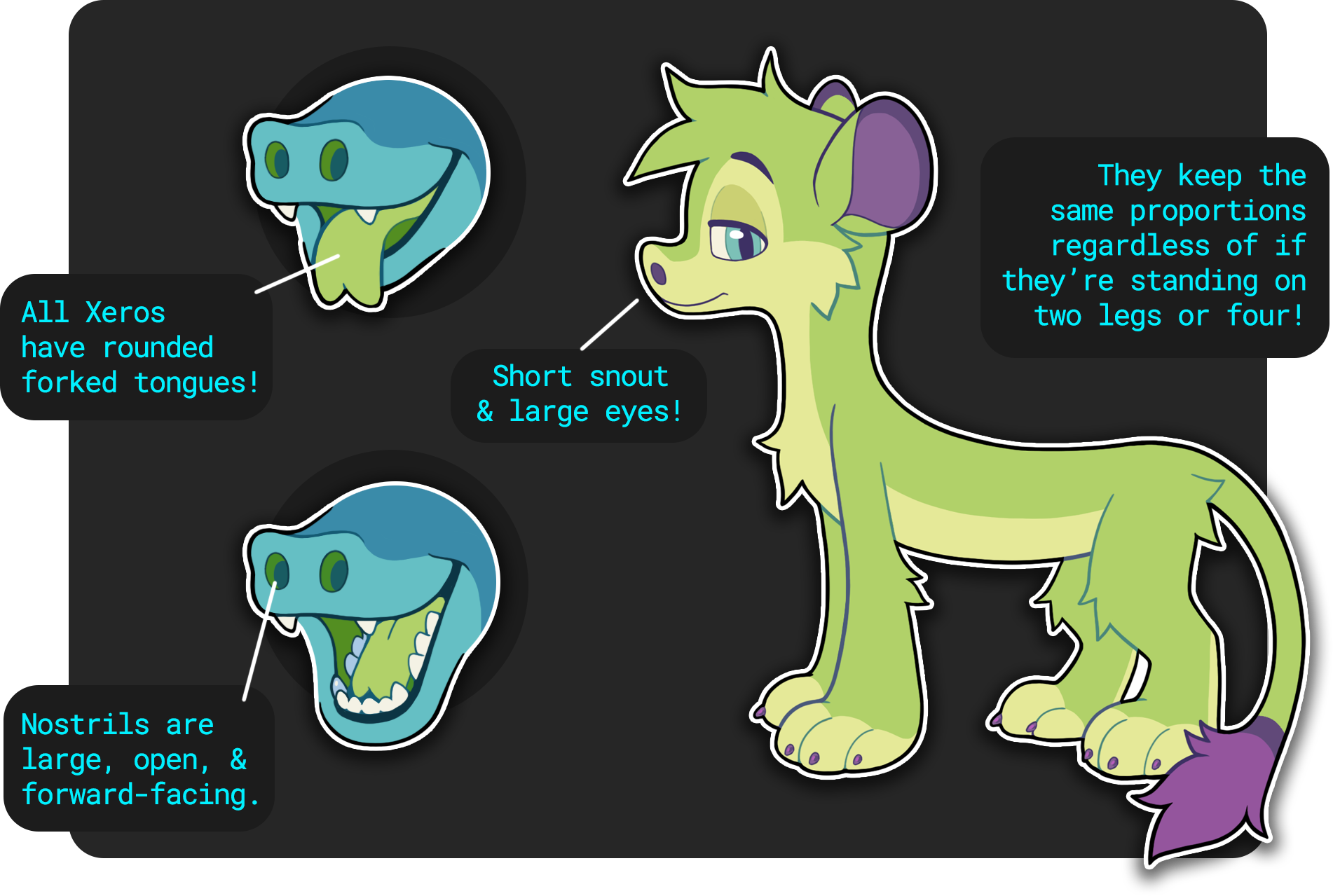 Xero Info Sheet 2