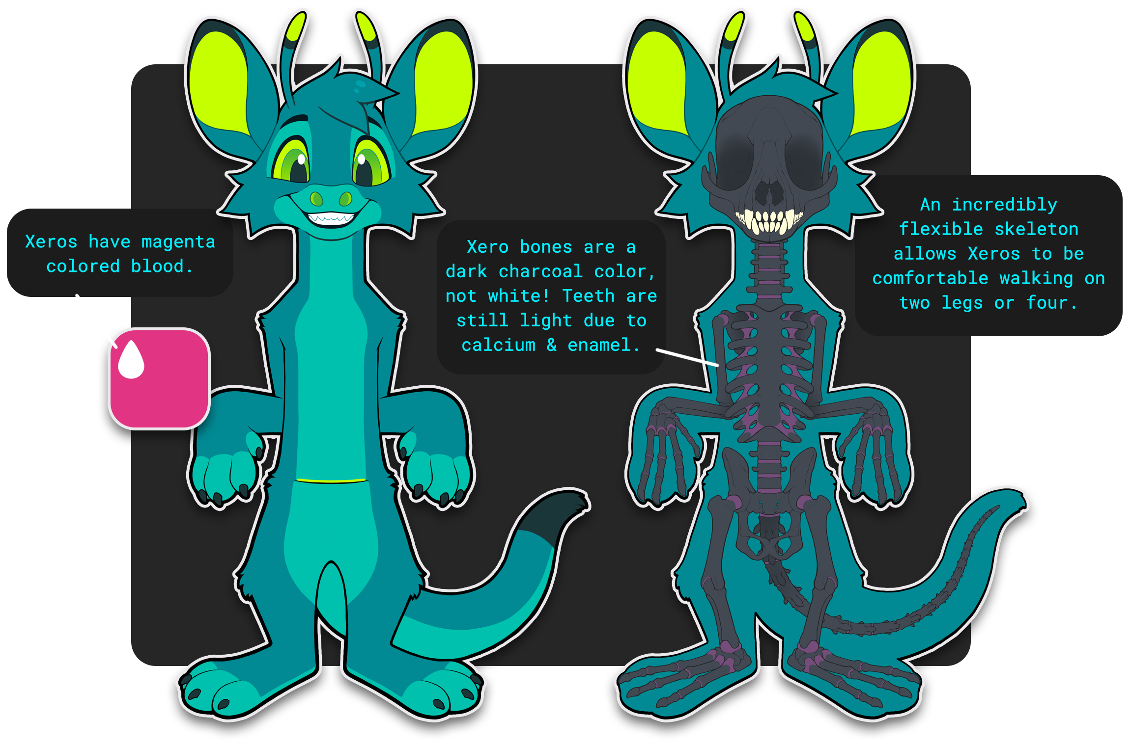 Xero Info Sheet 4 (Skeleton)
