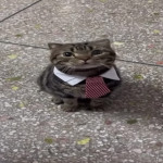 SKRZLE